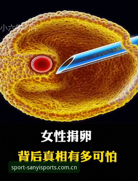 深度揭秘：三亿体育手机版安装背后的真相与完整操作指南